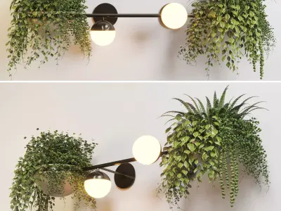 wall light plant Indoor  outdoor plants stand pot 3D model