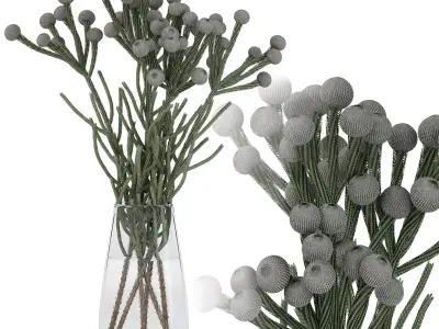 Brunia flowers in vase 3D model