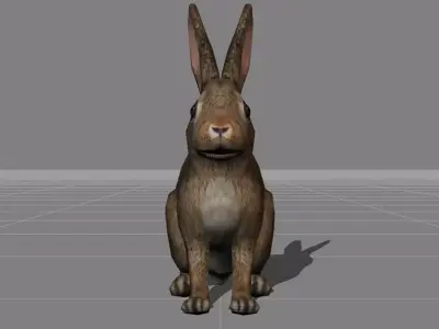 rabbit v1 animal Low-poly 3D model