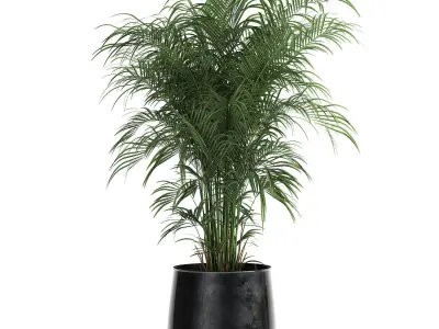 Houseplants in a pot for the interior 869 3D model