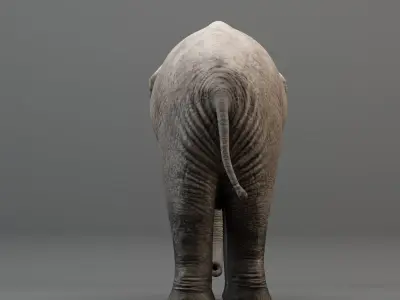 3D Rigged Elephant model Low-poly 3D model