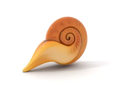 Glossy Spiral Shell model pack Low-poly 3D model