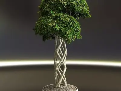 Bonsai Interior 3D model