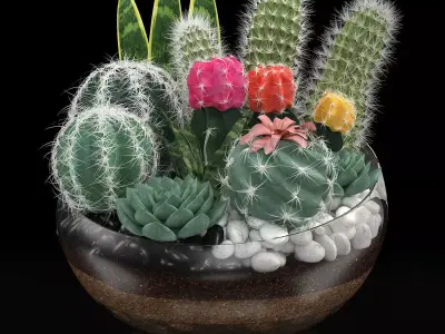 bowl of Cactus collection 3D model