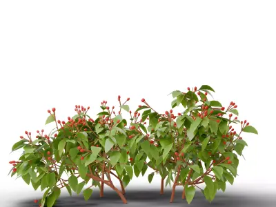 Mega 3D Flower Collection v1 Low-poly 3D model