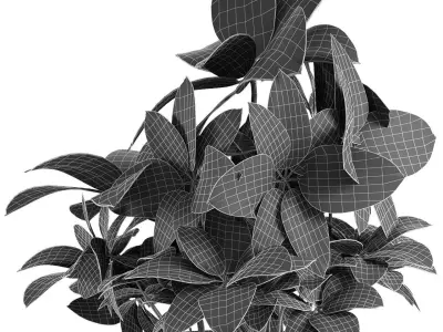 Plant in Pot Flowerpot Exotic Plant 3D model