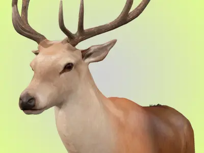 Deer Rig 3D model