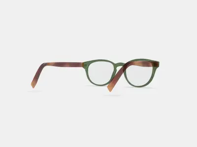 Percey Eyeglasses in Seaweed Crystal with Amber Tortoise 3D model