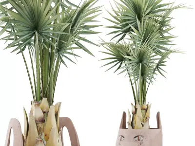 Plants Collection 143 Sabal Minor 3D model