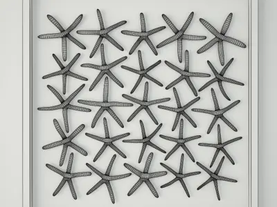 25 Starfishes 3D model