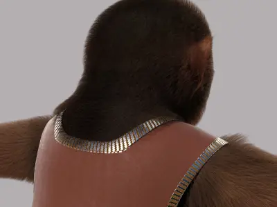 Cartoon Monkey NoRig 3D model