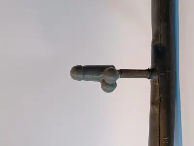 Penis Presta Valve Cap 3D print model 3D print model