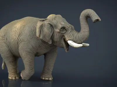 Asian Elephant 2 Low-poly 3D model