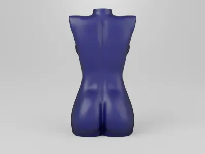 Female torso 1 3D print model