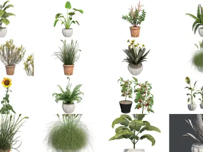 Pot Plants and Flowers Bundle 3D Model Collection