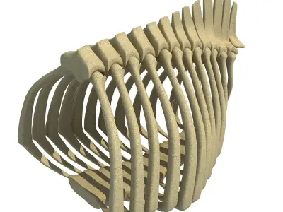 Bull Animal Rib Cage  3D model
