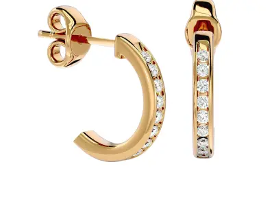 Women earrings model 3D print model