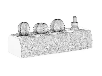 Tree Trunk with Cactuses 3D model