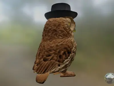 CapOwl 03 3D model