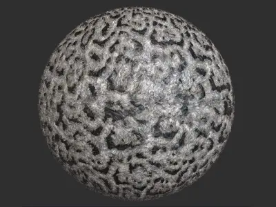 Snow leopard Fur Pbr 4k Texture 3D model