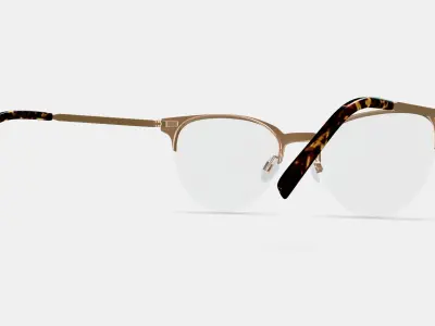 Sahana Eyeglasses in Polished Gold 3D model