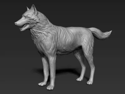 Wolf Sculpt 3D model