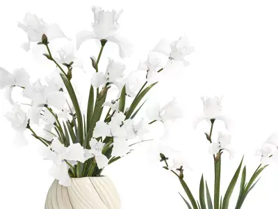 Beautiful realistic bouquet white flowers Iris vase decor 3D model