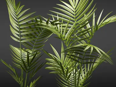 Plants 110 3D model