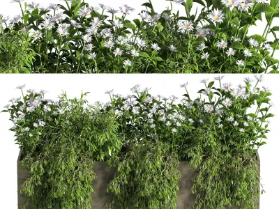 Outdoor Plants tree in Concrete Box 07 3D model