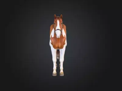 Painted Grace Horse Low-poly 3D model