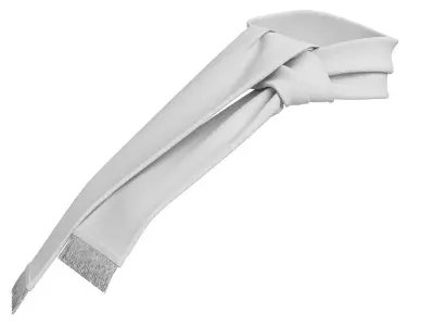 Football Fan Scarf 07 3D model