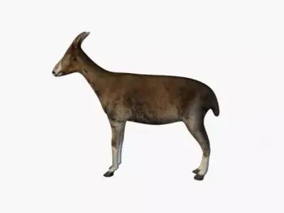 Low poly goat 3D model