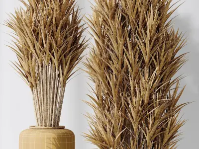 HQ Plants Yucca Elephantipes Gigantea Vase Set05 3D model