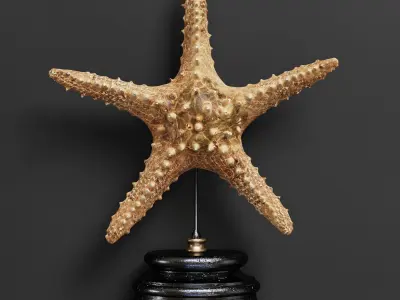 Decor Set 42 3D model