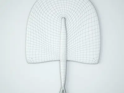 African Handwoven Fan 17 3D model