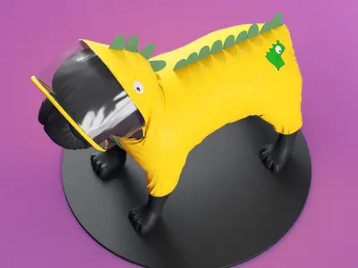 Mondog pet outfitters raincoat model 3D model