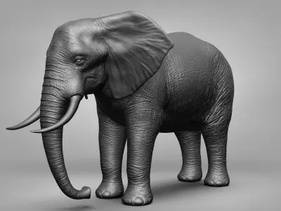 Wild animal collection 3D model