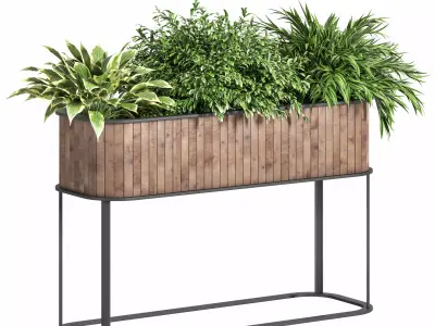 Indoor Plant Set 15 3D model