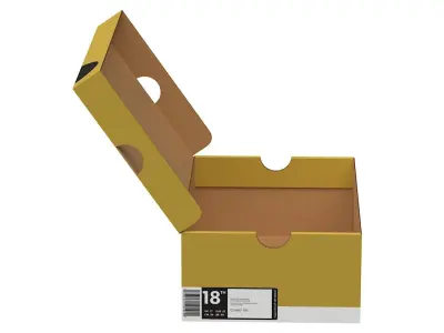 Nike Shoe Box PBR 15 Low-poly 3D model