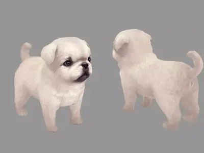 Cartoon pet puppy - White Paco - baby dog Low-poly 3D model