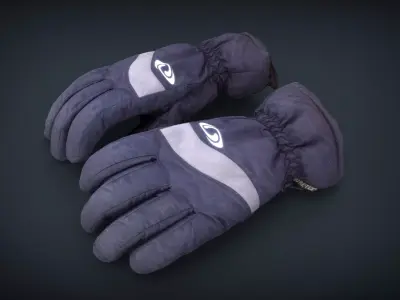 Ski Gloves for Woman Low-poly 3D model