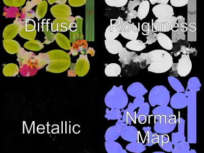 Orchid Flower D Model Pack with PBR Textures Low-poly 3D model