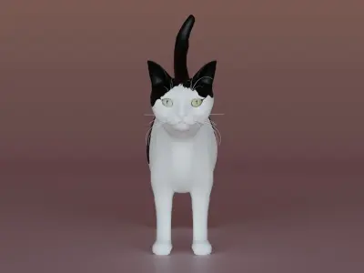 Cat rigging Low-poly 3D model