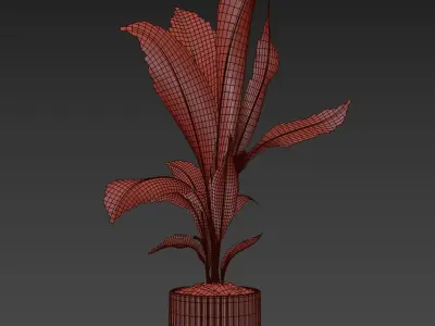 Indoor Plant 026 3D model