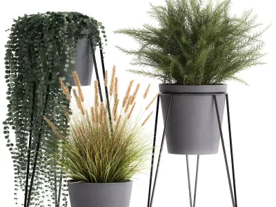 Plants in a flowerpot for the interior 946 3D model