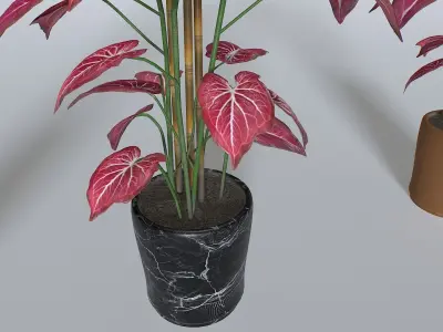 Pot Tropical Plant 2 Low-poly 3D model