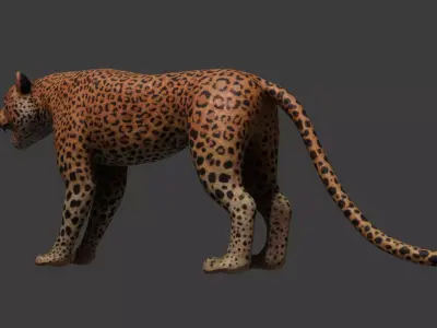 Leopard Rigged Optimized and Game Ready High Quality Mesh Low-poly 3D model
