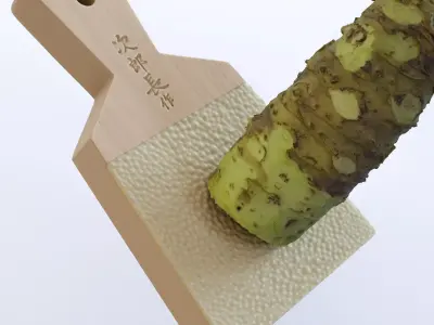 Sharkskin Wasabi Grater Set - Japanese horseradish Low-poly 3D model