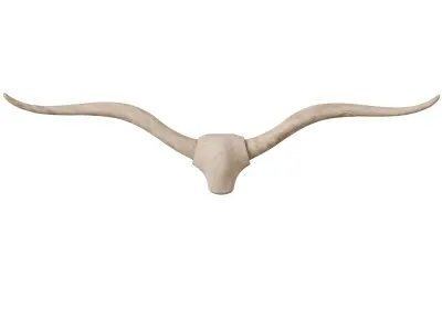 Longhorn Wall Art by PotteryBarn 3D model
