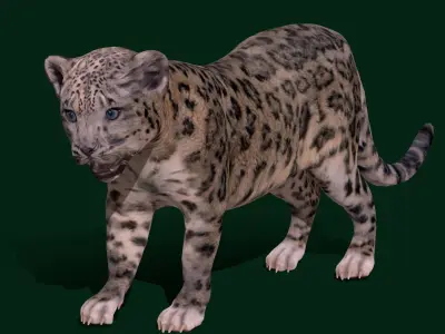 Snow Leopard Cub Low-poly 3D model